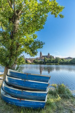 İspanya 'daki Tormes nehrinin kıyısındaki Salamanca katedralinin manzarası. Yüksek kalite fotoğraf