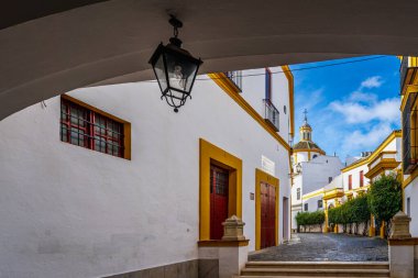 Seville, İspanya, 13 Mart 2022. Plaza de toros de la Real Maestranza de Sevilla, İspanya 'da. Yüksek kalite fotoğraf