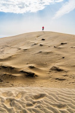 Dunes of Maspalomas in Gran Canaria, Canary Islands, Spain. High quality photo
