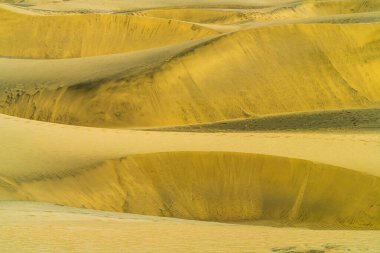 Dunes of Maspalomas in Gran Canaria, Canary Islands, Spain. High quality photo