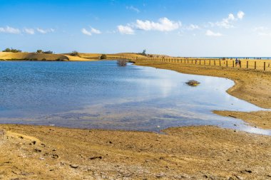 Maspalomas, Gran Canaria, Spain, December 26, 2022. Dunes of Maspalomas in Gran Canaria, Spain. High quality photo