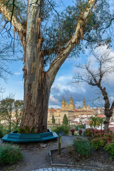Vista Catedral Santiago Compostela Partir Parque Alameda Pôr Sol Galiza — Fotografia de Stock