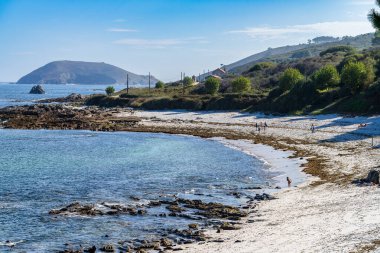 Ons Adası, Pontevedra, İspanya, 7 Eylül 2023. Galiçya, Pontevedra 'daki Ons Adası' nda konserve kutuları satılıyor. Yüksek kalite fotoğraf