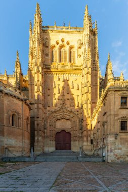 KDV Kimliği sadece alfanumerik karakterler içermelidir. Yüksek kalite fotoğraf