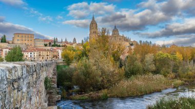 Salamanca, İspanya, 15 Kasım 2023. Salamanca Katedrali 'nin sonbahar resmi. Yüksek kalite fotoğraf