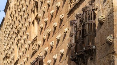 İspanya 'nın Castilla y Leon kentindeki Salamanca şehrindeki Casa de las Conchas' ın cephesi. Yüksek kalite fotoğraf