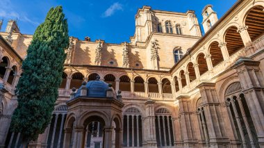 İspanya 'nın Castilla y Leon kentindeki Salamanca şehrindeki San Esteban Manastırı manastırı. Yüksek kalite fotoğraf