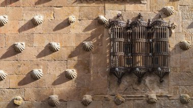 İspanya 'nın Castilla y Leon kentindeki Salamanca şehrindeki Casa de las Conchas' ın cephesi. Yüksek kalite fotoğraf