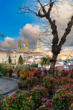 Galiçya 'daki La Alameda parkından Santiago de Compostela Katedrali' nin manzarası. Yüksek kalite fotoğraf