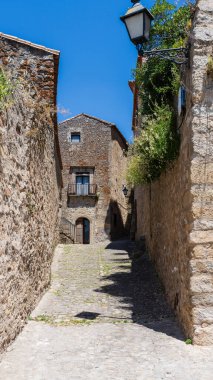 Extremadura, İspanya 'nın Trujillo kentindeki anıtsal caddede. Yüksek kalite fotoğraf