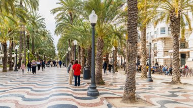 18 Şubat 2025. Alicante, İspanya. İspanya 'nın Alicante şehrinde, Valensiyalı cemaatinde. Yüksek kalite fotoğraf