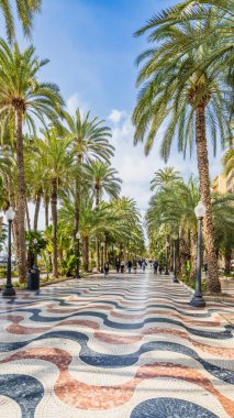 18 Şubat 2025. Alicante, İspanya. İspanya 'nın Alicante şehrinde, Valensiyalı cemaatinde. Yüksek kalite fotoğraf