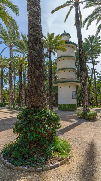 Elche, İspanya, 24 Şubat 2025. Elche şehrinin belediye parkı. Yüksek kalite fotoğraf