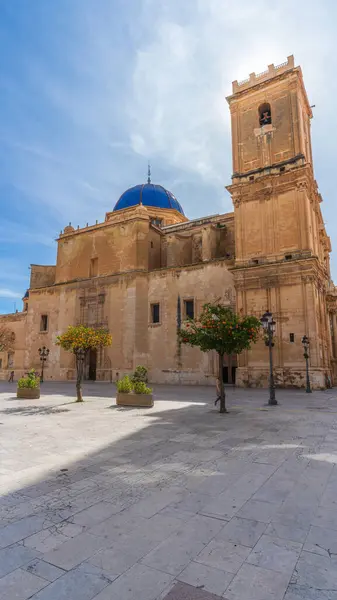 Elche, Alicante 'deki Santa Maria Bazilikası. Yüksek kalite fotoğraf