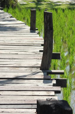 Tahta teraslar ve pirinç tarlaları.