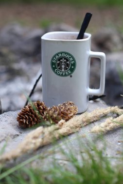 Washington, ABD - 13 Ocak 2023: Starbucks Kahve kupası Çam kozalakları ve sazlıklar ile bir kamp ateşinin etrafına yerleştirilmiş.