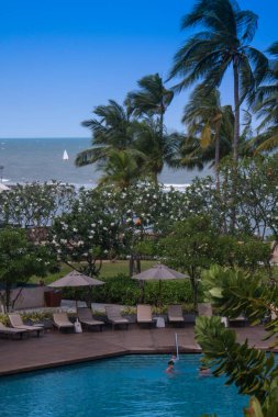Palmiye ağaçları ve deniz manzaralı lüks bir otelde yüzme havuzu.
