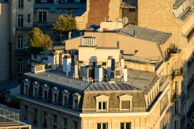 Bu manzara fotoğrafı Avrupa 'da, Fransa' da, Fransa 'da, Paris' te, yazın çekildi. Paris 'in çatılarını görüyoruz, güneşin altında..