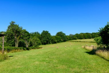 Bu manzara fotoğrafı Avrupa 'da, Fransa' da, Burgundy 'de, Nievre' de, Şato Chinon yakınlarında, yazın çekildi. Ormanları ve yeşil tarlaları olan kırsal bölgeleri görüyoruz, güneşin altında..
