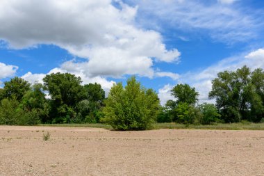 Bu manzara fotoğrafı Avrupa 'da, Fransa' da, Burgundy 'de, Nievre' de, Pouilly sur Loire 'da, Nevers' e doğru yazın çekildi. Loire 'ı yeşil kırsalın ortasında, güneşin altında görüyoruz..