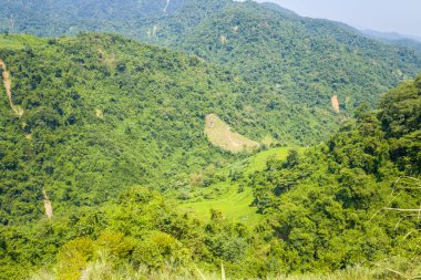 Bu manzara fotoğrafı Asya 'da Vietnam' da, Tonkin 'de Dien Bien Phu ve Lai Chau arasında çekilmiştir. Ormanların ortasındaki pirinç tarlalarını ve güneşin altındaki yeşil dağları görüyoruz..