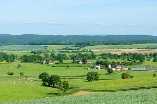 这张风景画是在欧洲 在法国 在勃艮第 在涅夫 在昆西 在春天 向克拉梅西拍摄的 我们看到一个法国村庄在绿色的乡间 在阳光下 — 图库照片