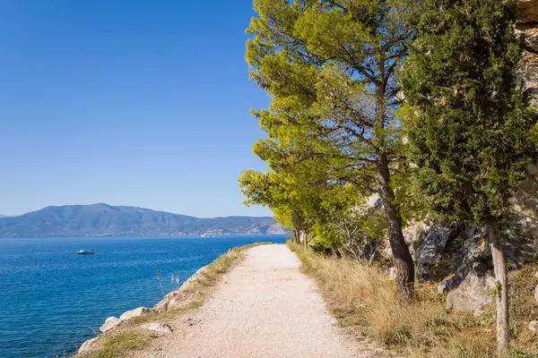 This landscape photo was taken, in Europe, in Greece, in the Peloponnese, in Argolis, in Nafplio, at the seaside of Myrto, in summer. We see a dirt road on the rocky and arid but green coast, under the sun.