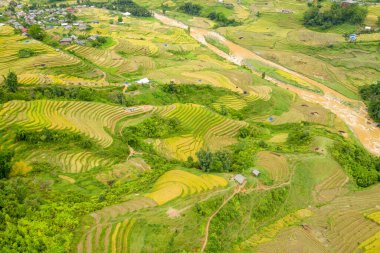 Bu manzara fotoğrafı Asya 'da, Vietnam' da, Tonkin 'de, Sapa' da Lao Cai 'de, yazın çekildi. Yeşil ve sarı pirinç tarlalarının ortasında sel basmış bir nehir görüyoruz. Yeşil dağların eteklerinde, bulutların altında..