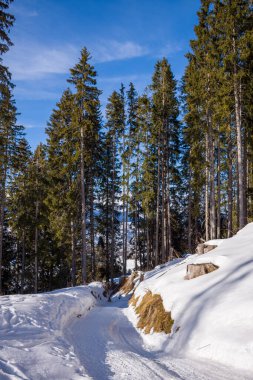 Bu manzara fotoğrafı Avrupa 'da, Fransa' da, Rhone Alpes 'te, Savoie' de, Alpler 'de, kışın çekildi. Mont Blanc 'ta güneşin altında karlı bir yürüyüş yolu görüyoruz..