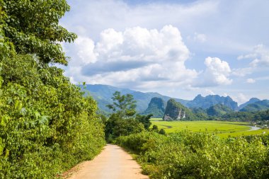 Bu manzara fotoğrafı, Asya 'da Vietnam' da, Tonkin 'de Son La ve Dien Bien Phu arasında yazın çekildi. Yeşil pirinç tarlalarının ve güneşin altındaki yeşil dağların ortasında beton bir yol görüyoruz..