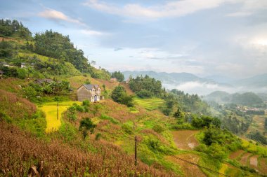 Bu manzara fotoğrafı Asya 'da, Vietnam' da, Tonkin 'de, Bac Ha' da Lao Cai 'de, yazın çekildi. Yeşil ve sarı pirinç tarlalarını görüyoruz. Yeşil dağların eteklerinde, bulutların altında..
