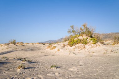 Bu manzara fotoğrafı Avrupa 'da, Yunanistan' da, Girit 'te, Elafonisi' de, Akdeniz kıyısında, yazın çekildi. Doğanın rezervini ve ince beyaz kumunu görebilirsiniz, güneşin altında..