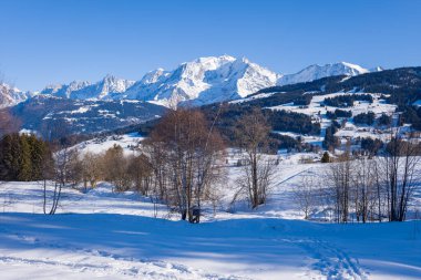 Bu manzara fotoğrafı Avrupa 'da, Fransa' da, Rhone Alpes 'te, Savoie' de, Alpler 'de, kışın çekildi. Mont Blanc 'ın ortasında ağaçlar görüyoruz, güneşin altında..