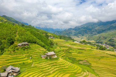 Bu manzara fotoğrafı Asya 'da, Vietnam' da, Tonkin 'de, Sapa' da Lao Cai 'de, yazın çekildi. Yeşil tropikal dağlarda, bulutların altında yeşil ve sarı pirinç teraslarını görüyoruz..