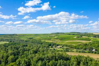 Bu manzara fotoğrafı Avrupa 'da, Fransa' da, Burgundy 'de, Nievre' de, Pouilly sur Loire 'da, Nevers' e doğru yazın çekildi. Güneşin altındaki yeşil sarmaşıkları görüyoruz..