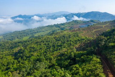 Bu manzara fotoğrafı Asya 'da, Vietnam' da, Tonkin 'de, Dien Bien Phu' da, yazın çekildi. Şehrin üstündeki bulutları görüyoruz. Yeşil dağlardan, güneşin altından..