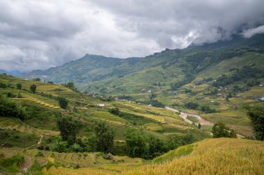 Bu manzara fotoğrafı Asya 'da, Vietnam' da, Tonkin 'de, Sapa' da Lao Cai 'de, yazın çekildi. Yeşil dağlarda, bulutların altında, vadinin yukarısındaki sarı ve yeşil pirinç teraslarını görüyoruz..