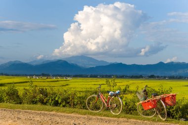 Bu manzara fotoğrafı Asya 'da, Vietnam' da, Tonkin 'de, Dien Bien Phu' da, yazın çekildi. Yeşil ve sarı pirinç tarlalarında, güneşin altında bir yolun kenarında bir bisiklet görüyoruz..