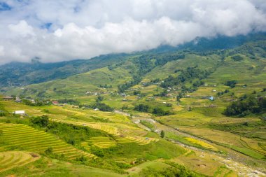 Bu manzara fotoğrafı Asya 'da, Vietnam' da, Tonkin 'de, Sapa' da Lao Cai 'de, yazın çekildi. Yeşil tropikal dağlarda, bulutların altında yeşil ve sarı pirinç teraslarını görüyoruz..