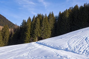 Bu manzara fotoğrafı Avrupa 'da, Fransa' da, Rhone Alpes 'te, Savoie' de, Alpler 'de, kışın çekildi. Mont Blanc 'taki dağları ve ormanları görüyoruz. Güneş altında bir yürüyüş parkurunun yanından geçiyorlar..