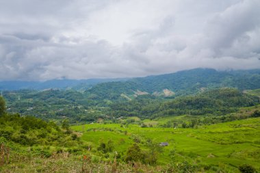Bu manzara fotoğrafı Asya 'da, Vietnam' da, Tonkin 'de, Dien Bien Phu' da, yazın çekildi. Yeşil pirinç tarlalarını görüyoruz. Yeşil dağlarda, bulutların altında..