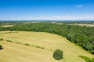 Bu manzara fotoğrafı Avrupa 'da, Fransa' da, Burgundy 'de, Nievre' de, Nevers yakınlarında, yazın çekildi. Yeşil kırları görüyoruz. Ormanları ve tarlaları var. Güneşin altında..