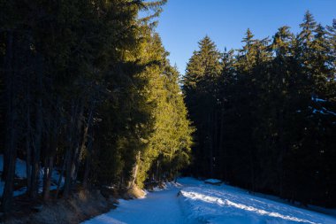 Bu manzara fotoğrafı Avrupa 'da, Fransa' da, Rhone Alpes 'te, Savoie' de, Alpler 'de, kışın çekildi. Mont Blanc 'ta güneşin altında bir patika görüyoruz..