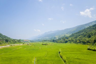 Bu manzara fotoğrafı Asya 'da Vietnam' da, Tonkin 'de Dien Bien Phu ve Lai Chau arasında çekilmiştir. Ormanların ortasındaki pirinç tarlalarını ve güneşin altındaki yeşil dağları görüyoruz..