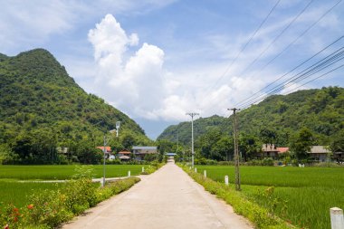 Bu manzara fotoğrafı Asya 'da, Vietnam' da Tonkin 'de, Hanoi' de, Mai Chau 'da, yazın çekildi. Dağlarda, güneşin altında, yeşil pirinç tarlalarının ortasında bir patika görüyoruz..