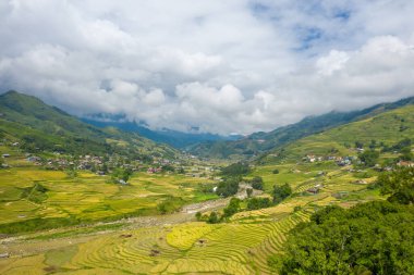 Bu manzara fotoğrafı Asya 'da, Vietnam' da, Tonkin 'de, Sapa' da Lao Cai 'de, yazın çekildi. Yeşil tropikal dağlarda, bulutların altında yeşil ve sarı pirinç teraslarını görüyoruz..