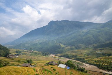 Bu manzara fotoğrafı Asya 'da, Vietnam' da, Tonkin 'de, Sapa' da Lao Cai 'de, yazın çekildi. Yeşil dağlarda, bulutların altında, vadinin yukarısındaki sarı ve yeşil pirinç teraslarını görüyoruz..