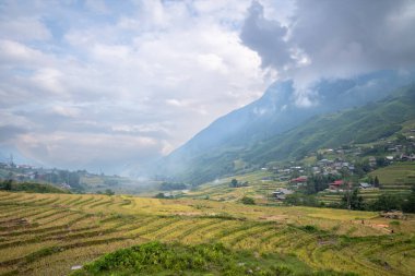 Bu manzara fotoğrafı Asya 'da, Vietnam' da, Tonkin 'de, Sapa' da Lao Cai 'de, yazın çekildi. Yeşil vadideki dağlarda, bulutların altında yeşil ve sarı pirinç tarlalarını görüyoruz..