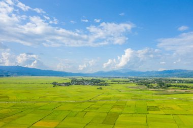 Bu manzara fotoğrafı Asya 'da, Vietnam' da, Tonkin 'de, Dien Bien Phu' da, yazın çekildi. Yeşil ve sarı pirinç tarlalarını görüyoruz. Yeşil dağlarda, güneşin altında..