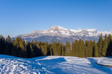 Bu manzara fotoğrafı Avrupa 'da, Fransa' da, Rhone Alpes 'te, Savoie' de, Alpler 'de, kışın çekildi. Mont Blanc kalabalığını ve çam ormanlarını görebilirsiniz, güneşin altında..